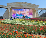  SEOUL – NAMI – EVERLAND 5N4Đ | BAY VIETNAM AIRLINES 