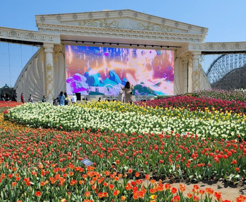  SEOUL – NAMI – EVERLAND 5N4Đ | BAY VIETNAM AIRLINES 