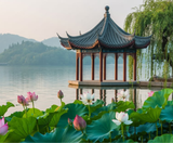  DISNEYLAND MU - THƯỢNG HẢI – TÔ CHÂU – VÔ TÍCH  Ô TRẤN – HÀNG CHÂU 5N5Đ | BAY China Eastern Airlines (MU) 