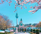  BUSAN – DAEGU – SEOUL 5N5Đ | BAY VIETNAM AIRLINES 