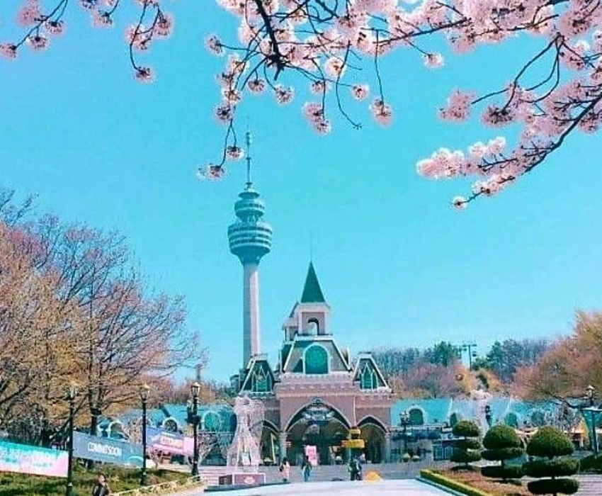  BUSAN – DAEGU – SEOUL 5N5Đ | BAY VIETNAM AIRLINES 