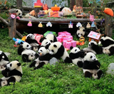  TRÙNG KHÁNH MONO 4N4Đ  | BAY AIR CHINA 