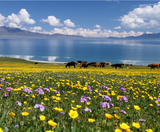  TÂN CƯƠNG 9N8Đ | BAY AIR CHINA 