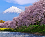 SHIRAKAWAGO – CUNG ĐƯỜNG VÀNG 6N5Đ  | BAY VIETNAM AIRLINES 