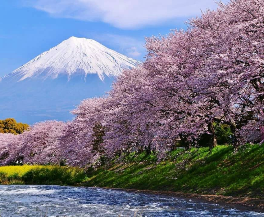  SHIRAKAWAGO – CUNG ĐƯỜNG VÀNG 6N5Đ  | BAY VIETNAM AIRLINES 