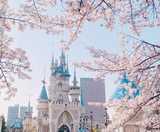  BUSAN – SEOUL – LOTTE WORLD 5N5Đ | BAY VIETNAM AIRLINES 