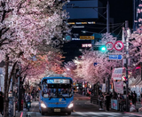  BUSAN – DAEGU – SEOUL 5N5Đ | BAY VIETNAM AIRLINES 