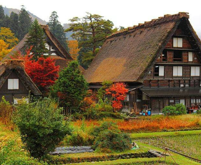  OSAKA – KYOTO – SHIRAKAWAGO– FUJI – TOKYO – NARITA 6N5D I BAY VIETNAM AIRLINES 