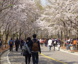  BUSAN – SEOUL – LOTTE WORLD 5N5Đ | BAY VIETJET AIR 