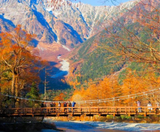  OSAKA – KYOTO – SHIRAKAWAGO– FUJI – TOKYO – NARITA 6N5D I BAY VIETNAM AIRLINES 