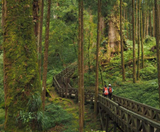  BAY SÁNG - CAO HÙNG – ĐÀI TRUNG – NAM ĐẦU – ĐÀI BẮC 