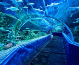  SEOUL – NAMI – LOTTE WORLD – LOTTE AQUARIUM 4N3Đ | BAY VIETNAM AIRLINES 