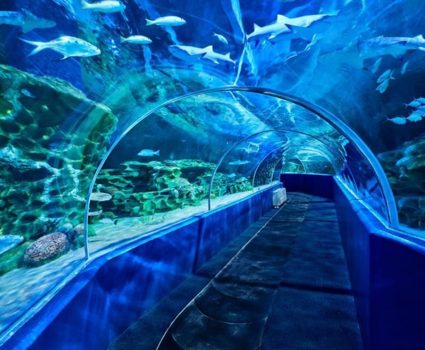  SEOUL – NAMI – LOTTE WORLD – LOTTE AQUARIUM 4N3Đ | BAY VIETNAM AIRLINES 