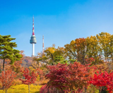  BUSAN – SEOUL – NAMI – LOTTE WORLD 5N5Đ  | BAY VIETJET AIR 