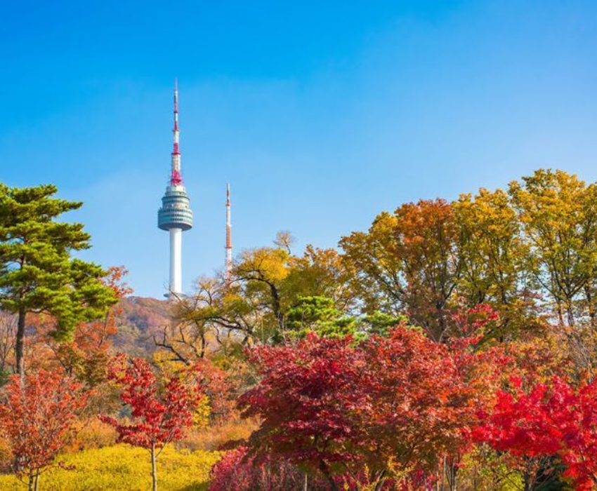  BUSAN – SEOUL – NAMI – LOTTE WORLD 5N5Đ  | BAY VIETJET AIR 