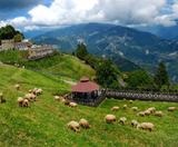  LỄ 30.4.2026 - ĐÀI BẮC – ĐÀI TRUNG – NAM ĐẦU – CAO HÙNG 6N5Đ | BAY VIETNAM 