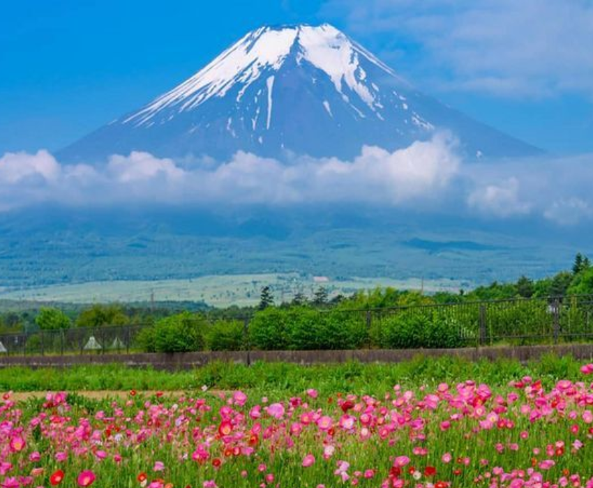  CUNG ĐƯỜNG VÀNG - NARITA- TOKYO - YAMANASHI – FUJI –KYOTO – KOBE– OSAKA 6N5Đ | BAY VIETNAM AIRLINES 