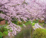  CUNG ĐƯỜNG VÀNG 6N5Đ  | BAY VIETNAM AIRLINES 