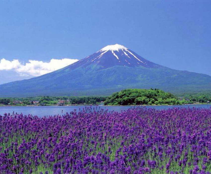  SEAWORLD - NARITA – TOKYO  – FUJI – YOKOHAMA - NARITA 5N4Đ  | BAY VIETNAM AIRLINES 