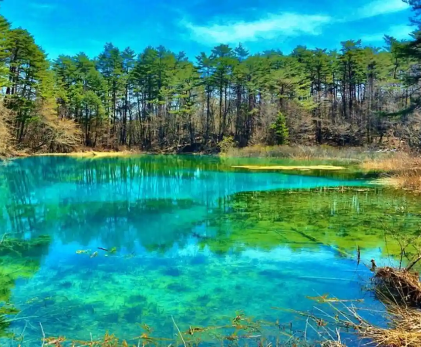  TRÙNG KHÁNH – THÀNH ĐÔ - NGA MI SƠN – LẠC SƠN – CỬU TRẠI CÂU 7N7Đ | BAY AIR CHINA 