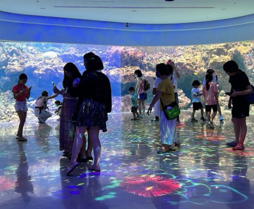  SEOUL – NAMI – LOTTE WORLD – LOTTE AQUARIUM 4N3Đ | BAY VIETNAM AIRLINES 