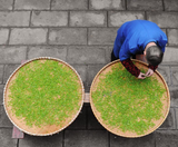  THƯỢNG HẢI – HÀNG CHÂU – BẮC KINH 6N6Đ | BAY AIR CHINA 