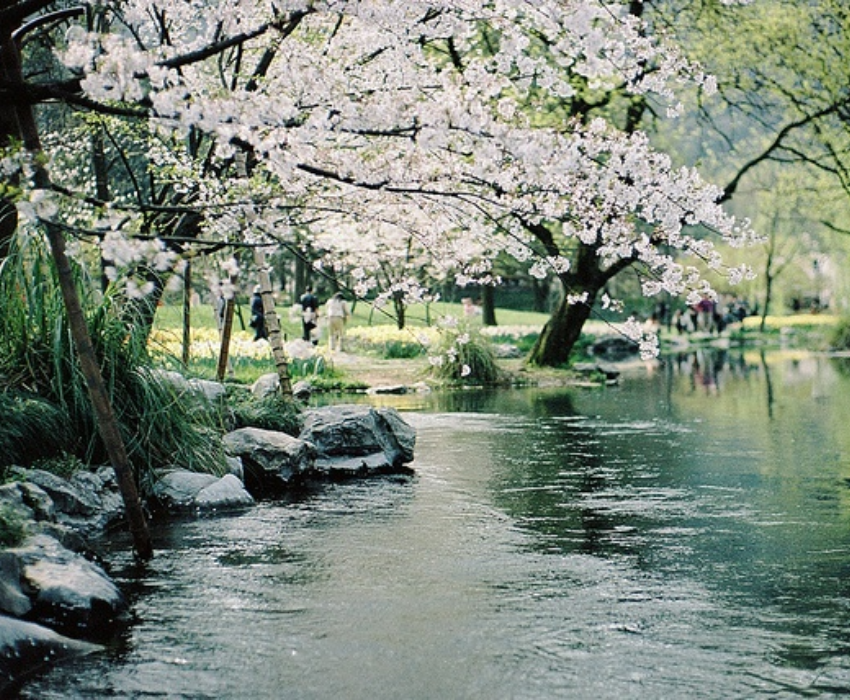  THƯỢNG HẢI – Ô TRẤN – HÀNG CHÂU – BẮC KINH 7N6Đ | BAY VIETNAM AIRLINES 
