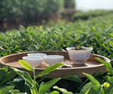  CAO HÙNG – ĐÀI TRUNG – NAM ĐẦU – ĐÀI BẮC 5N4Đ | BAY VIETJET AIR 