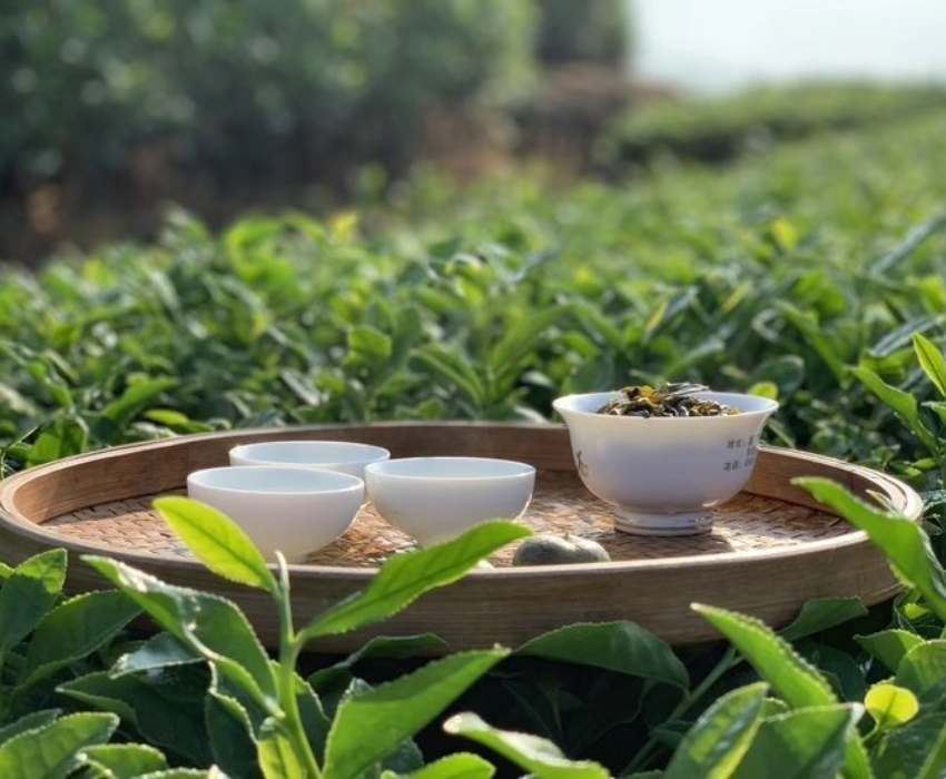  CAO HÙNG – ĐÀI TRUNG – NAM ĐẦU – ĐÀI BẮC 5N4Đ | BAY VIETJET AIR 