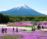  NAGOYA–HAKONE–FUJI MOUNT–TOKYO–NAGOYA 5N4Đ  | BAY VIETNAM AIRLINES 