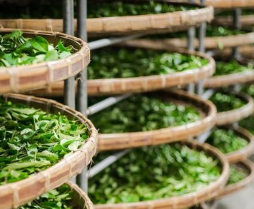  CAO HÙNG – ĐÀI TRUNG – NAM ĐẦU – ĐÀI BẮC 6N5Đ  | BAY VIETNAM AIRLINES 