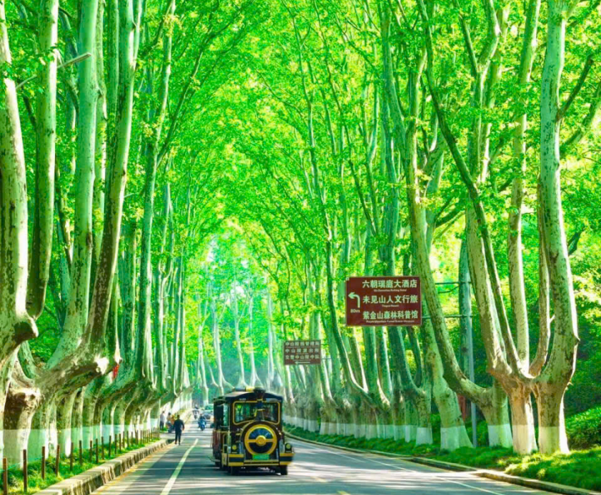  DISNEYLAND - THƯỢNG HẢI – TÔ CHÂU – VÔ TÍCH Ô TRẤN – HÀNG CHÂU 5N4Đ | BAY VIETNAM AIRLINES 