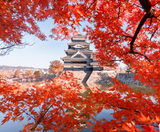  OSAKA – KYOTO – SHIRAKAWAGO– FUJI – TOKYO – NARITA 6N5D I BAY VIETNAM AIRLINES 