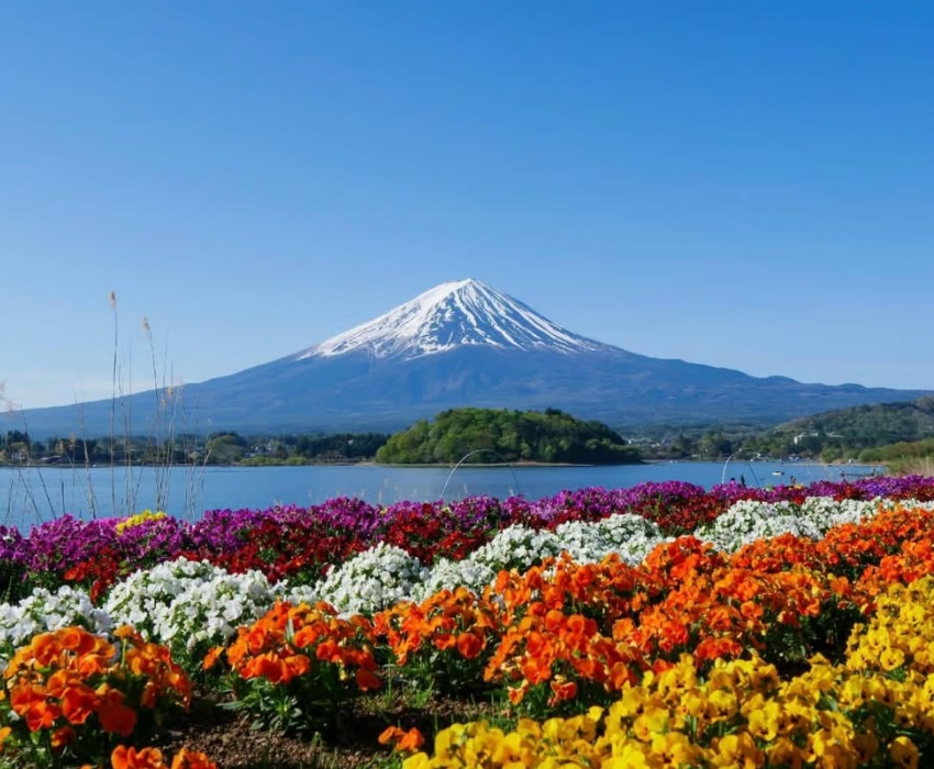  NARITA – TOKYO – FUJI – YOKOHAMA - NARITA 5N4Đ | BAY VIETNAM AIRLINES 