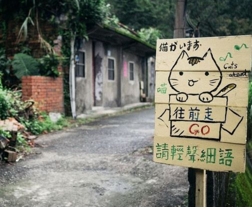  ĐÀI BẮC – ĐÀI TRUNG – ĐÀI BẮC 4N4Đ  | BAY EVA AIR 