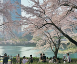  BUSAN – SEOUL – LOTTE WORLD 5N5Đ | BAY VIETJET AIR 