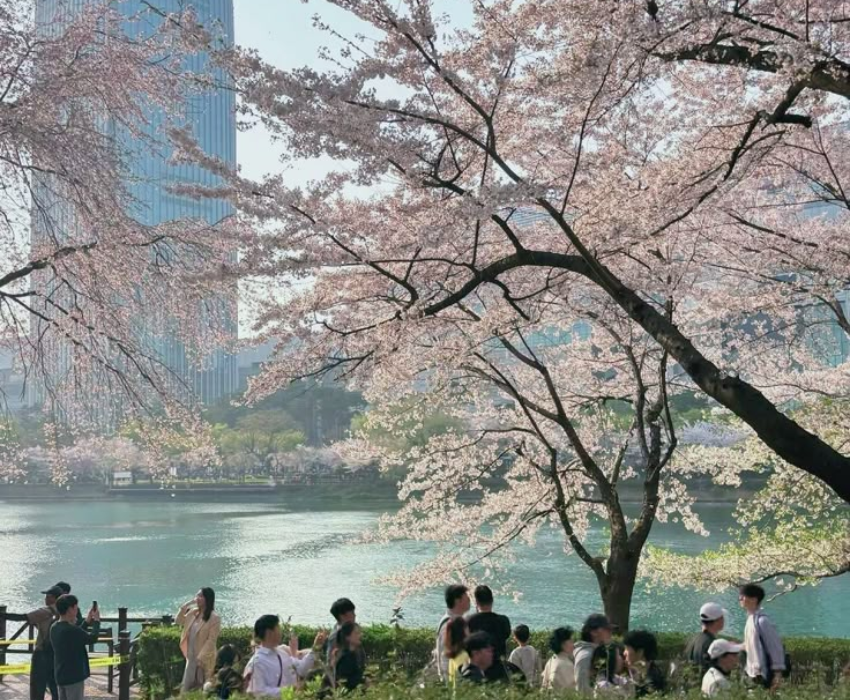  BUSAN – SEOUL – LOTTE WORLD 5N5Đ | BAY VIETJET AIR 