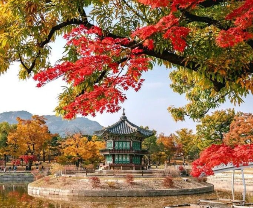  BUSAN – SEOUL – NAMI – LOTTE WORLD 5N5Đ  | BAY VIETJET AIR 