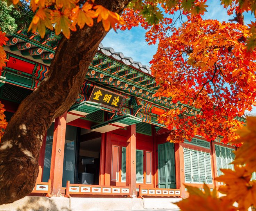  BUSAN – SEOUL – NAMI – LOTTE WORLD 5N5Đ  | BAY VIETJET AIR 