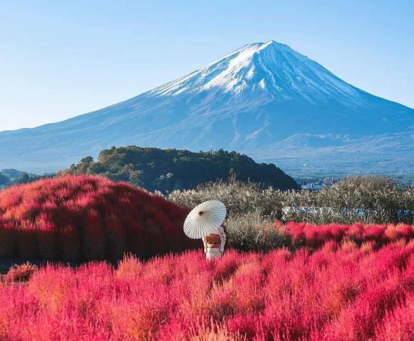  OSAKA – KYOTO – SHIRAKAWAGO– FUJI – TOKYO – NARITA 6N5D I BAY VIETNAM AIRLINES 