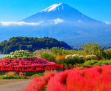  CUNG ĐƯỜNG VÀNG - NARITA – TOKYO – YAMANASHI – FUJI –KYOTO – KOBE – OSAKA 6N5Đ I BAY VIET NAM AIRLINES 