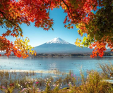  OSAKA – KYOTO – SHIRAKAWAGO– FUJI – TOKYO – NARITA 6N5D I BAY VIETNAM AIRLINES 
