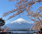  CUNG ĐƯỜNG VÀNG 6N5Đ - SHIRAKAWAGO 
