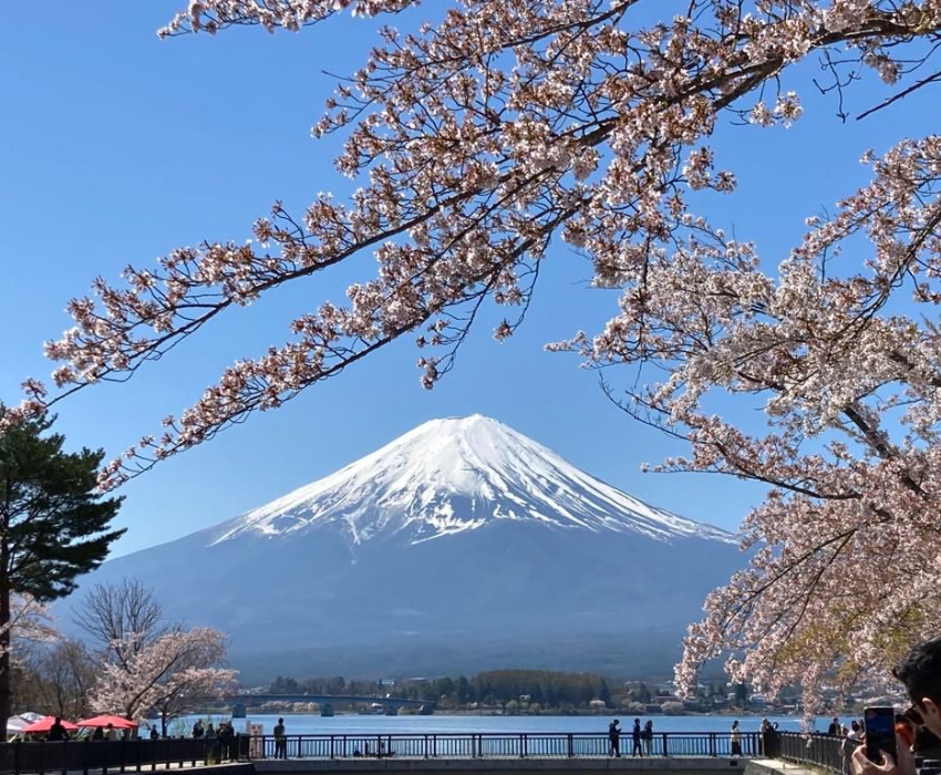  CUNG ĐƯỜNG VÀNG 6N5Đ - SHIRAKAWAGO 