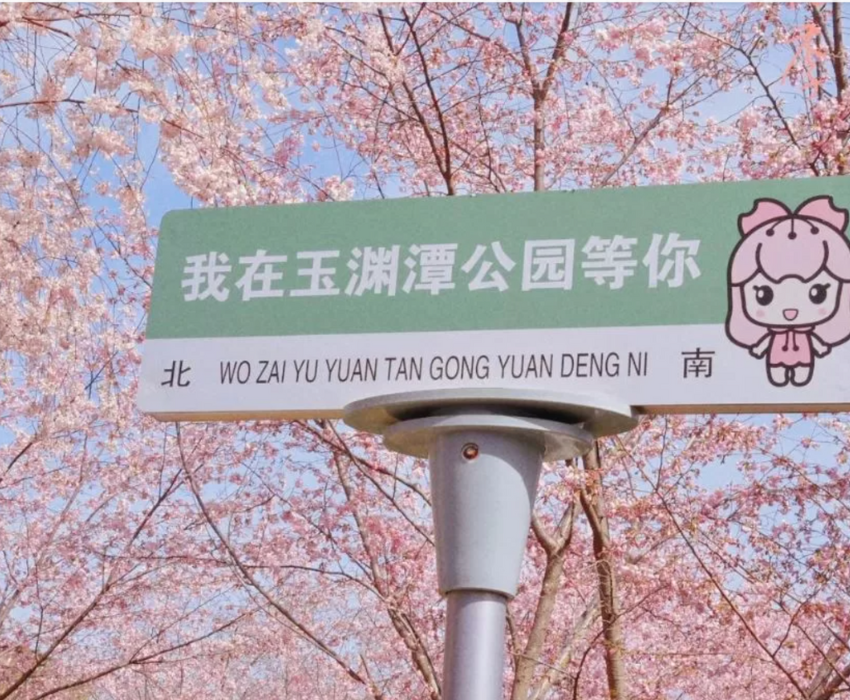  THƯỢNG HẢI – HÀNG CHÂU – BẮC KINH 6N6Đ | BAY SHENZHEN AIRLINES + AIR CHINA 