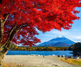 CUNG ĐƯỜNG VÀNG - NARITA – TOKYO – YAMANASHI – FUJI –KYOTO – KOBE – OSAKA 6N5Đ I BAY VIET NAM AIRLINES 