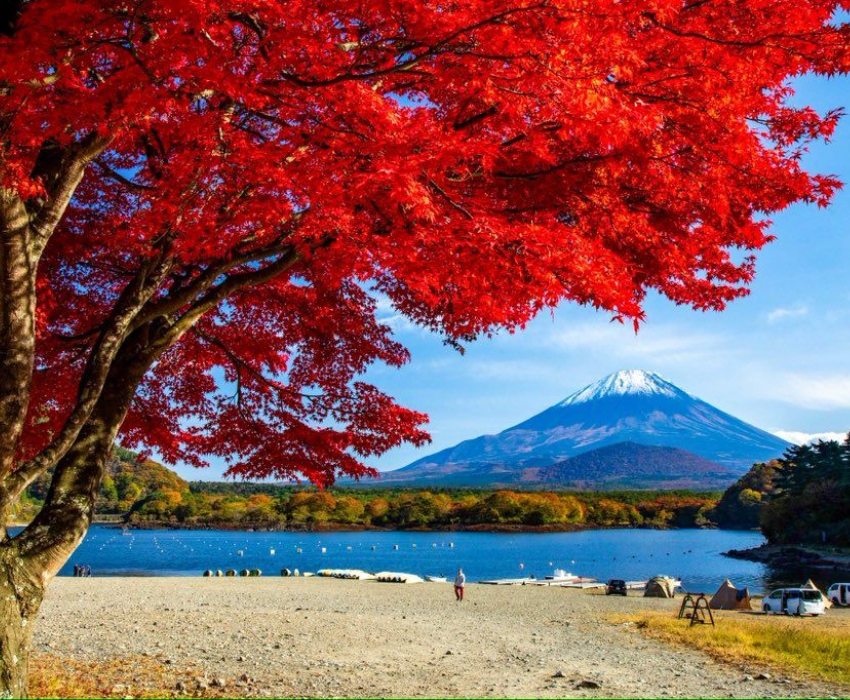  CUNG ĐƯỜNG VÀNG - NARITA – TOKYO – YAMANASHI – FUJI –KYOTO – KOBE – OSAKA 6N5Đ I BAY VIET NAM AIRLINES 