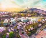  BUSAN – DAEGU – SEOUL 5N5Đ | BAY VIETNAM AIRLINES 