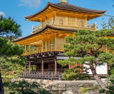  CUNG ĐƯỜNG VÀNG - NARITA- TOKYO - YAMANASHI – FUJI –KYOTO – KOBE– OSAKA 6N5Đ | BAY VIETNAM AIRLINES 