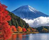  OSAKA – KYOTO – SHIRAKAWAGO– FUJI – TOKYO – NARITA 6N5D I BAY VIETNAM AIRLINES 
